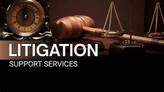 RedSpy Litigation Support Services